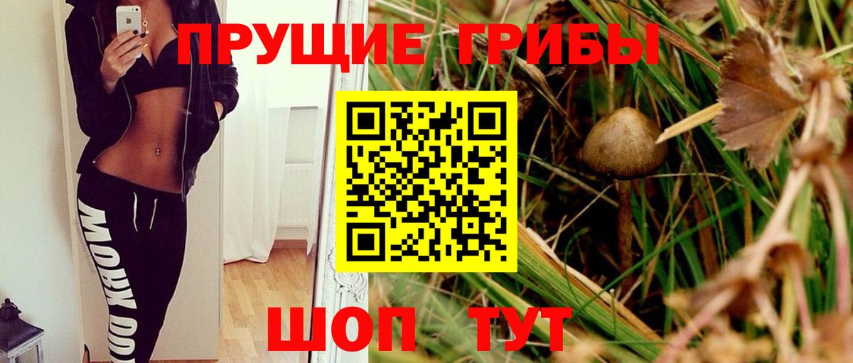 закладка  Галлюциногенные грибы мицелий  Вход с VPN  Псилоцибиновые грибы прущие грибы  Лянтор 